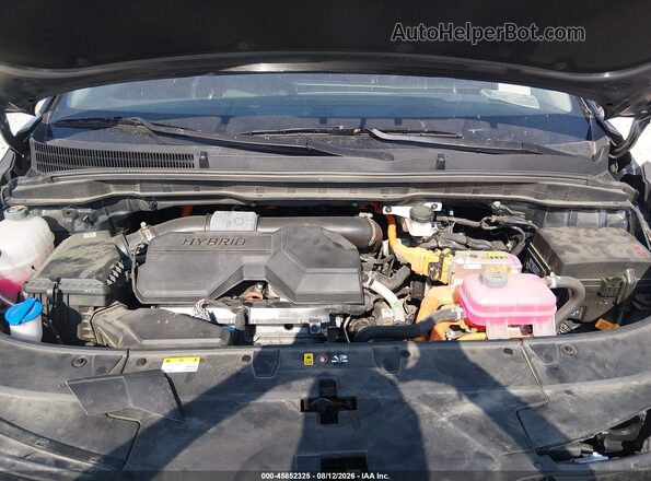 KNDNB5KA8T6129267 2026 KIA CARNIVAL MPV HYBRID Black Widok z tyłu