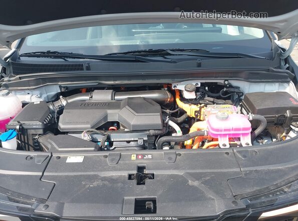 KNDNC5KA7T6086554 2026 KIA CARNIVAL MPV HYBRID Gray Вид ззаду