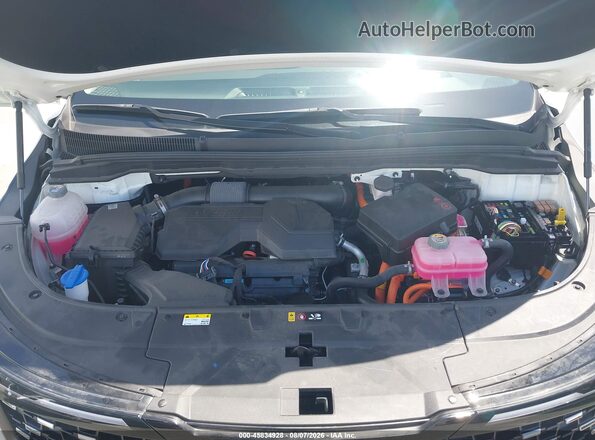 KNDNE5KA9S6065343 2025 KIA CARNIVAL MPV HYBRID White Вид ззаду