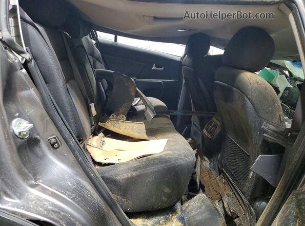 KNDPB3AC1G7832502 2016 KIA SPORTAGE Gray უკანა სალონის ხედი