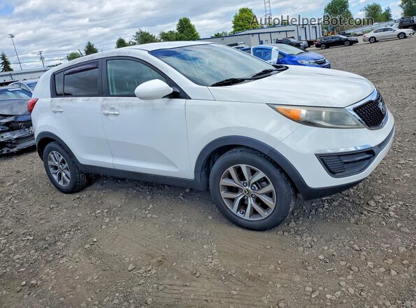 KNDPB3AC6G7810186 2016 KIA SPORTAGE White Front right