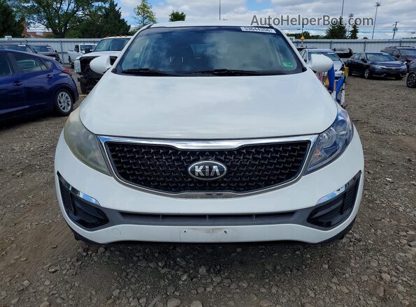 KNDPB3AC6G7810186 2016 KIA SPORTAGE White Front view