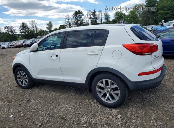 KNDPB3AC6G7810186 2016 KIA SPORTAGE White Rear left