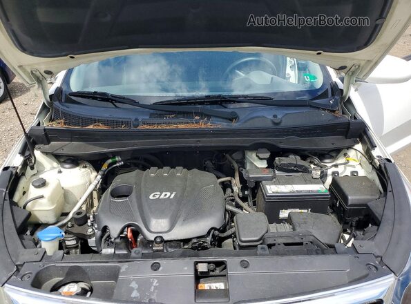 KNDPB3AC6G7810186 2016 KIA SPORTAGE White Engine compartment view