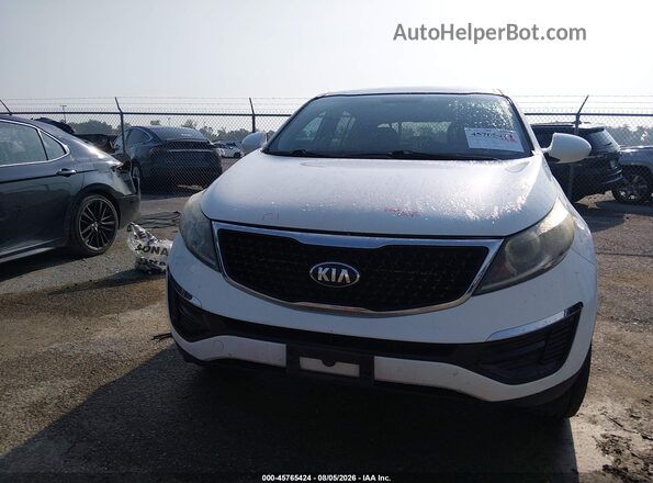 KNDPB3AC6G7859064 2016 KIA SPORTAGE White Rear interior view
