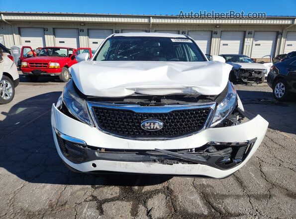 KNDPB3AC8G7809069 2016 KIA SPORTAGE Белый Вид спереди
