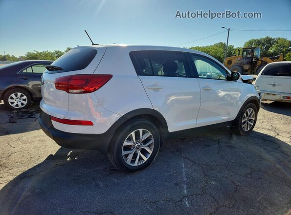KNDPB3AC8G7809069 2016 KIA SPORTAGE Белый Задняя правая четверть