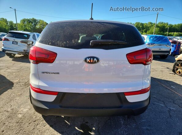 KNDPB3AC8G7809069 2016 KIA SPORTAGE Белый Вид сзади