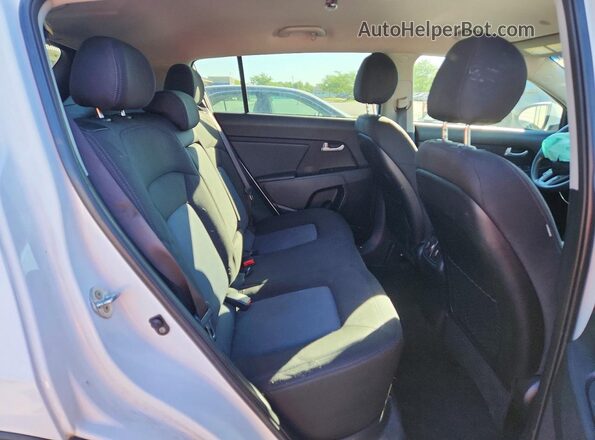 KNDPB3AC8G7809069 2016 KIA SPORTAGE Белый Вид задней части салона