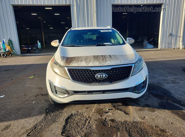 KNDPB3AC8G7844145 2016 KIA SPORTAGE White უკანა სავარძლების ხედი