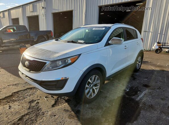 KNDPB3AC8G7844145 2016 KIA SPORTAGE White უკანა მარჯვენა