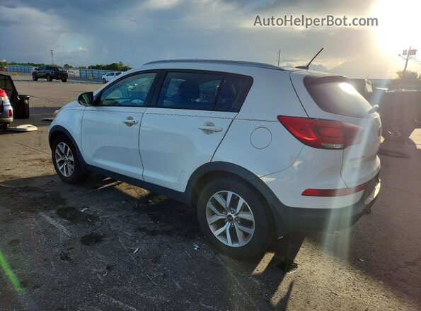 KNDPB3AC8G7844145 2016 KIA SPORTAGE White წინა მარჯვენა
