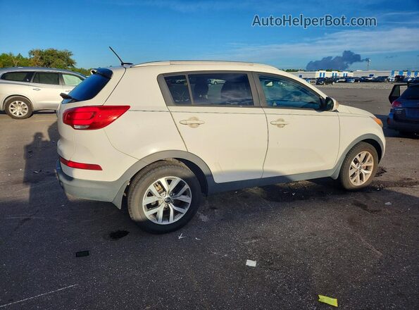 KNDPB3AC8G7844145 2016 KIA SPORTAGE White უკანა ხედი