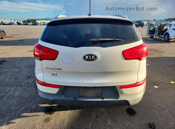KNDPB3AC8G7844145 2016 KIA SPORTAGE White უკანა სალონის ხედი