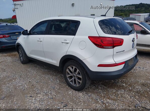 KNDPBCAC0G7873557 2016 KIA SPORTAGE White Rear left