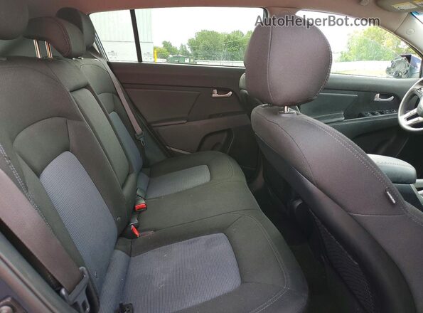 KNDPBCAC1G7817885 2016 KIA SPORTAGE Синий Вид задней части салона