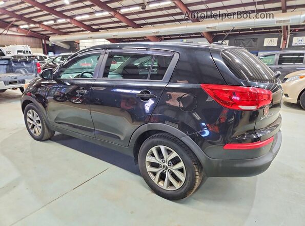 KNDPBCAC3G7806354 2016 KIA SPORTAGE Black Հետևի ձախ