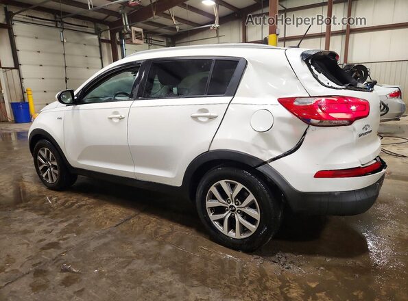 KNDPBCAC5G7874154 2016 KIA SPORTAGE White Rear left