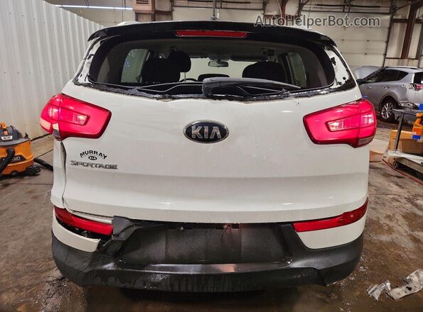 KNDPBCAC5G7874154 2016 KIA SPORTAGE White Rear view