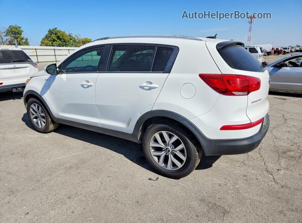 KNDPBCAC7G7797447 2016 KIA SPORTAGE White უკანა მარცხენა