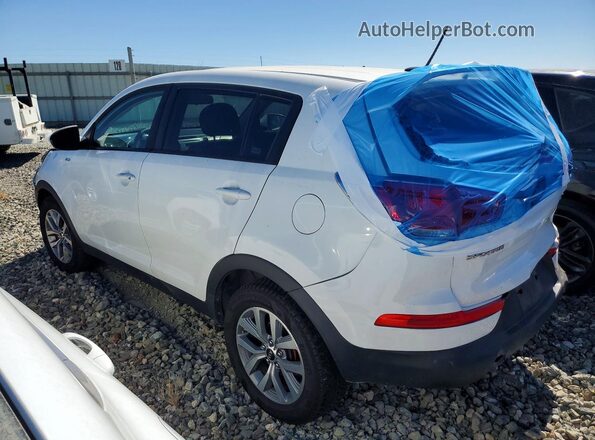 KNDPBCAC9G7824714 2016 KIA SPORTAGE White Trasero izquierdo
