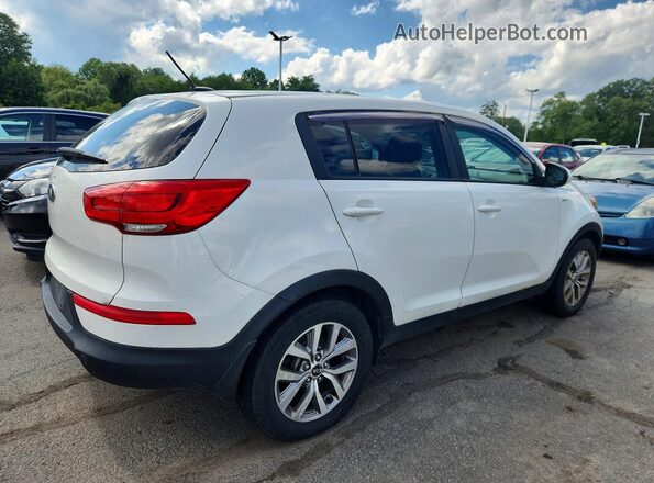 KNDPBCAC9G7854327 2016 KIA SPORTAGE White Tył prawy
