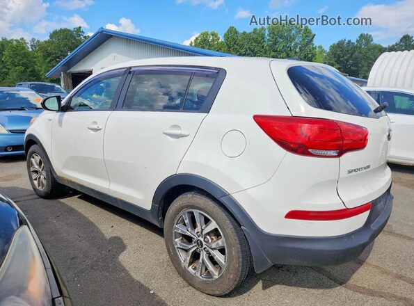 KNDPBCAC9G7854327 2016 KIA SPORTAGE White Tył lewy