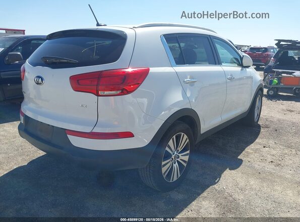 KNDPC3AC0G7847652 2016 KIA SPORTAGE White Հետևի աջ