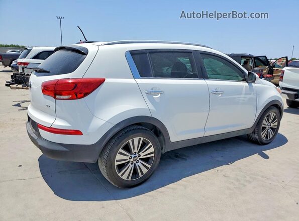 KNDPC3AC6G7863242 2016 KIA SPORTAGE White Rear right