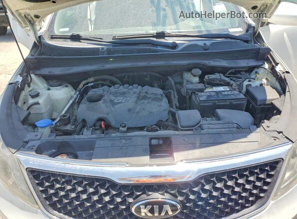 KNDPC3AC6G7863242 2016 KIA SPORTAGE White Engine compartment view