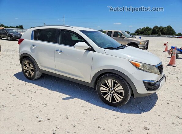 KNDPC3AC7G7848605 2016 KIA SPORTAGE White Przód prawy