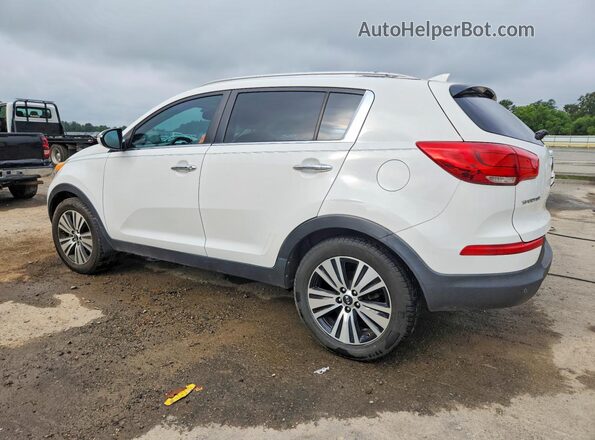 KNDPC3ACXG7815100 2016 KIA SPORTAGE White Задня ліва чверть