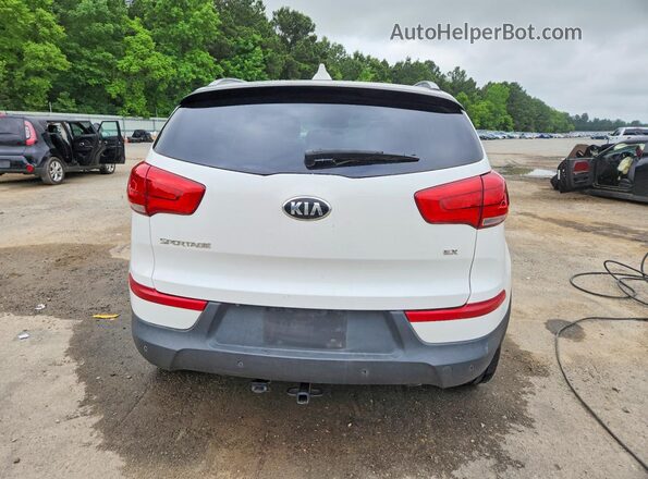 KNDPC3ACXG7815100 2016 KIA SPORTAGE White Вид ззаду