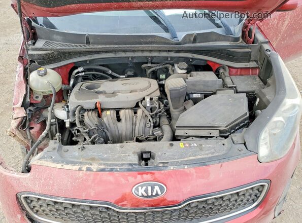 KNDPM3AC1J7336987 2018 KIA SPORTAGE Red Вид задньої частини салону