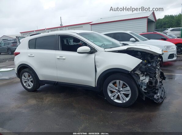 KNDPM3AC1K7562447 2019 KIA SPORTAGE White Widok wnętrza z tyłu