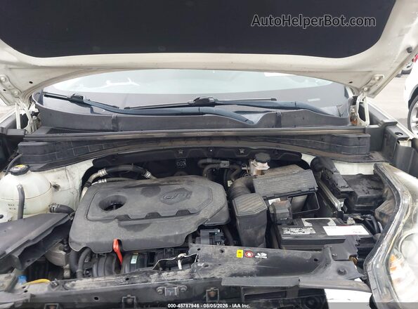 KNDPM3AC1K7562447 2019 KIA SPORTAGE White Widok z tyłu