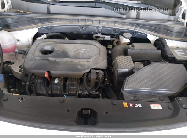 KNDPM3AC1M7915272 2021 KIA SPORTAGE Белый Вид сзади
