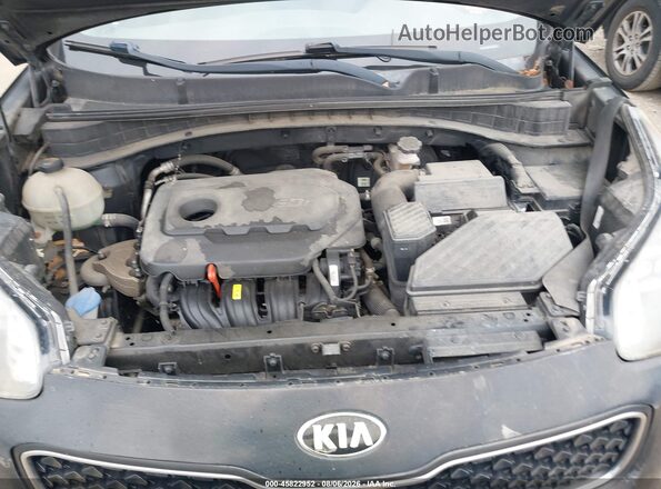 KNDPM3AC2H7080806 2017 KIA SPORTAGE Black Вид ззаду