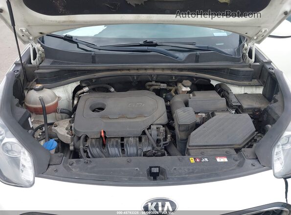 KNDPM3AC2M7928905 2021 KIA SPORTAGE White უკანა ხედი