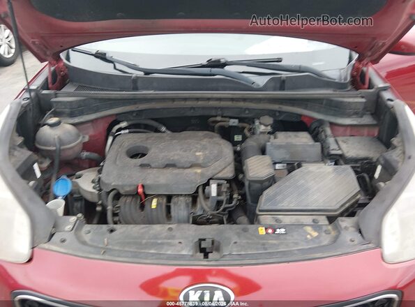 KNDPM3AC5J7458560 2018 KIA SPORTAGE Красный Вид сзади