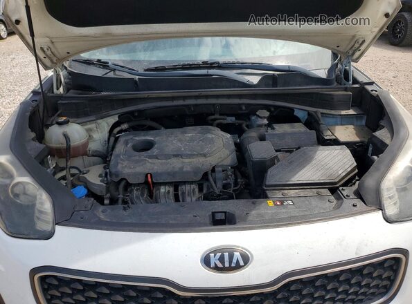 KNDPM3AC5K7610600 2019 KIA SPORTAGE White 