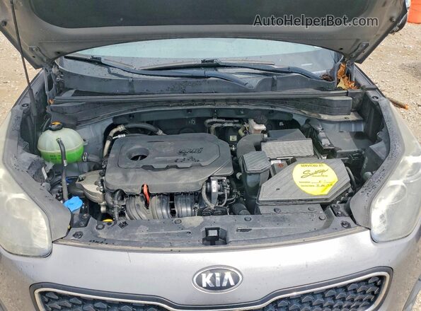 KNDPM3AC6H7047663 2017 KIA SPORTAGE Gray Սալոնի հետևի տեսք