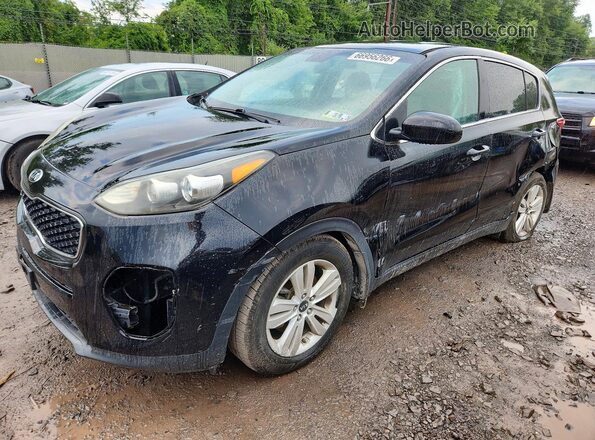 KNDPM3AC6H7232473 2017 KIA SPORTAGE Черный Задняя левая четверть