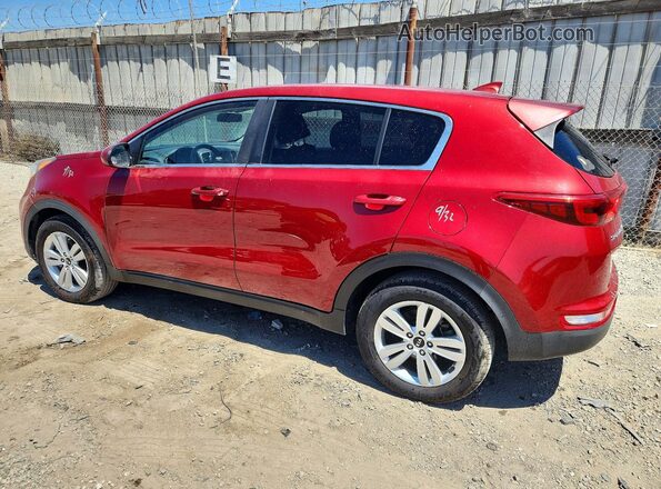 KNDPM3AC6K7509596 2019 KIA SPORTAGE Red Հետևի ձախ