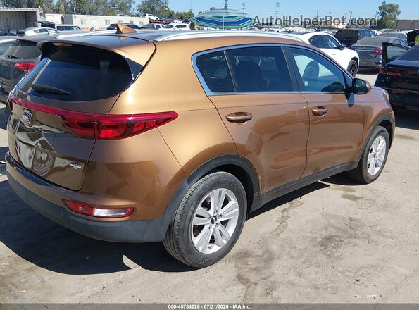 KNDPM3AC6K7544154 2019 KIA SPORTAGE Orange Rear right