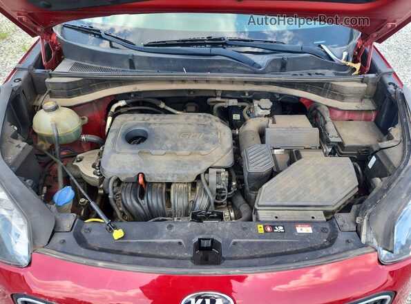 KNDPM3AC6K7624926 2019 KIA SPORTAGE Красный Вид задней части салона