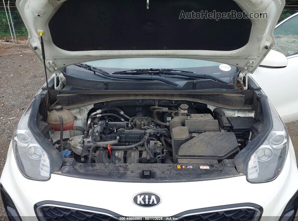KNDPM3AC6N7955347 2022 KIA SPORTAGE White Rear view