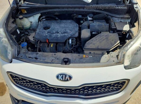KNDPM3AC7K7511597 2019 KIA SPORTAGE White უკანა სალონის ხედი