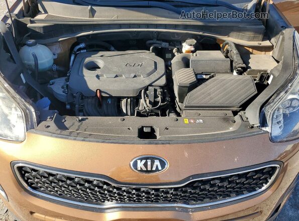 KNDPM3AC9K7615606 2019 KIA SPORTAGE Orange Շարժիչի բաժամունքի տեսք