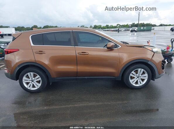 KNDPM3ACXH7206300 2017 KIA SPORTAGE Желто-коричневый Вид задней части салона